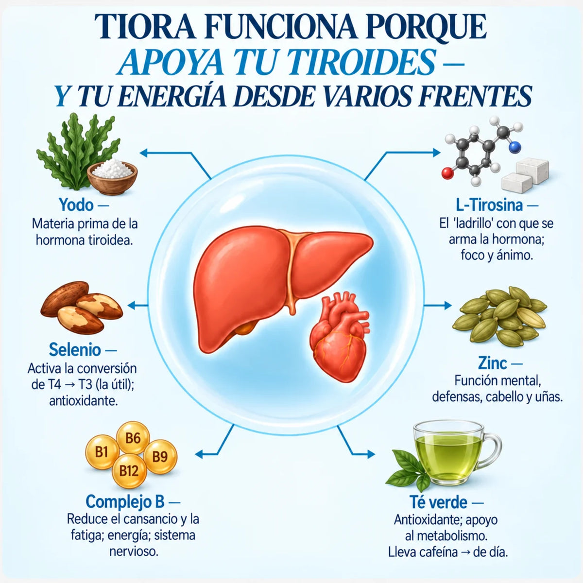 TIORA | Gotas para el equilibrio tiroideo
